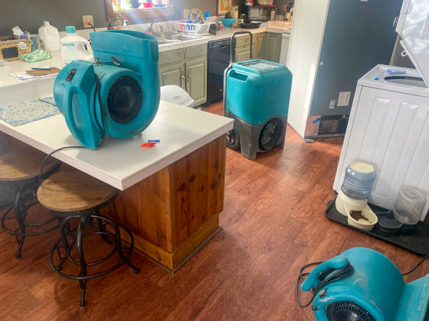 Best Water damage restoration near me  in Belmont, NC