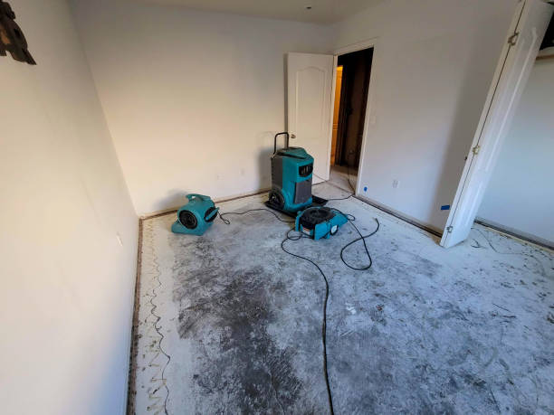 Best 24/7 water damage repair  in Belmont, NC