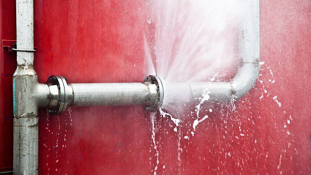 Best Professional water damage repair  in Belmont, NC